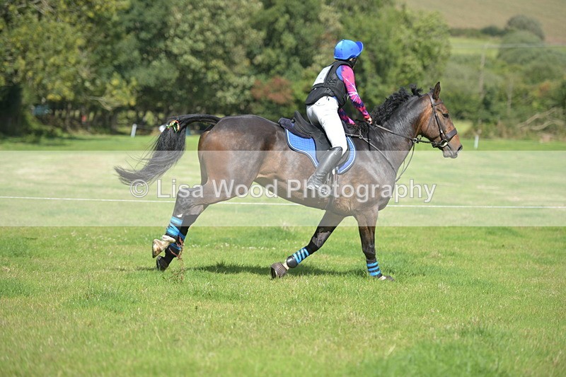 RAY_8729 - Class 2: Trekenning Open: Wall