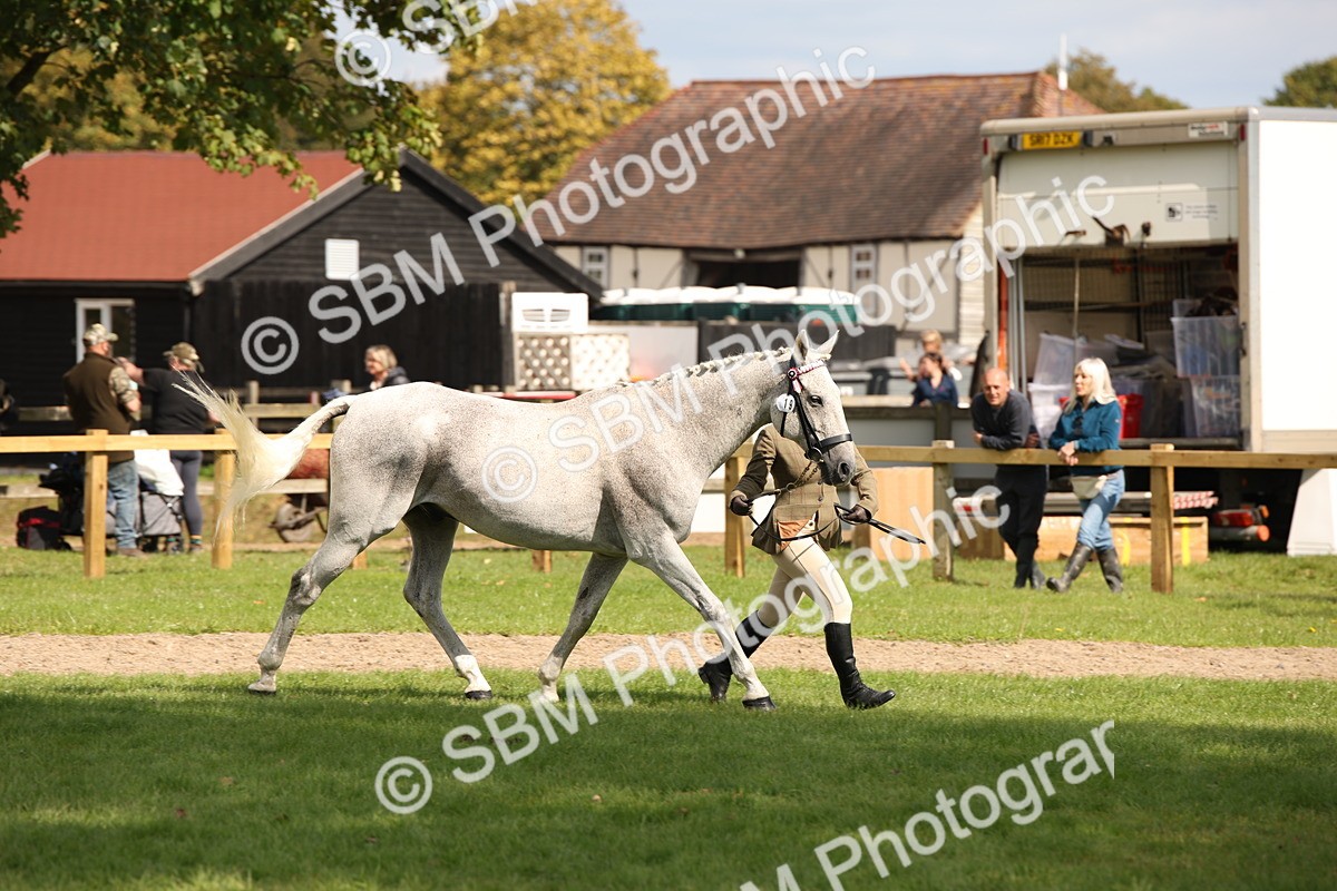 SBM_44496 - S24 - Young Veteran in hand