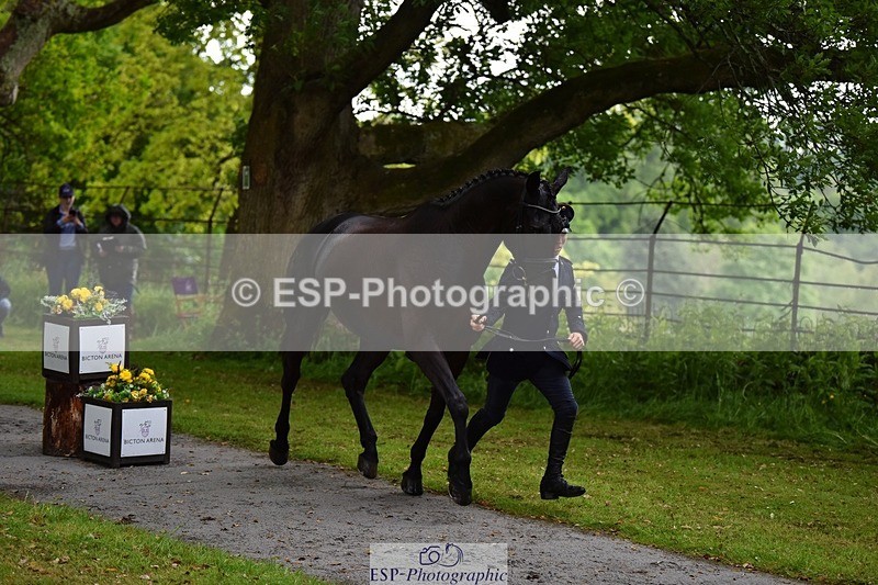 240522-152842-00367 - 359-PROMISING_PETE_TSF-Felix_Etzel