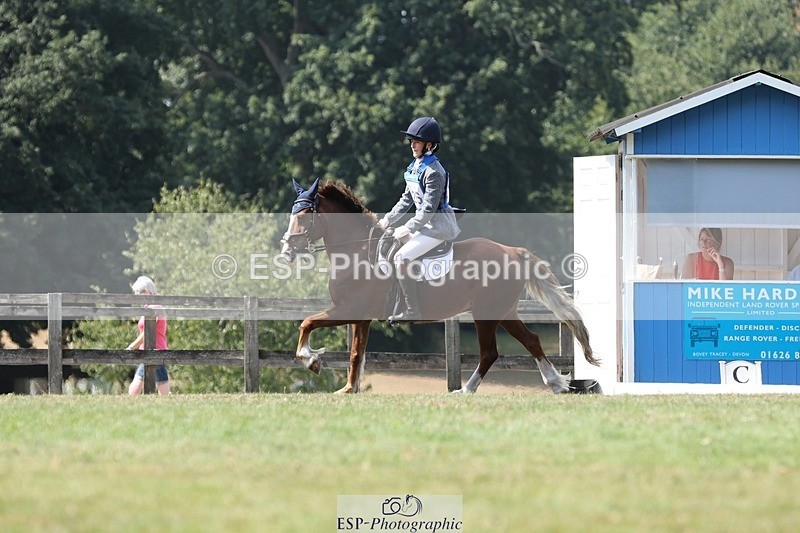 250823A-134256-31351 - Arena D