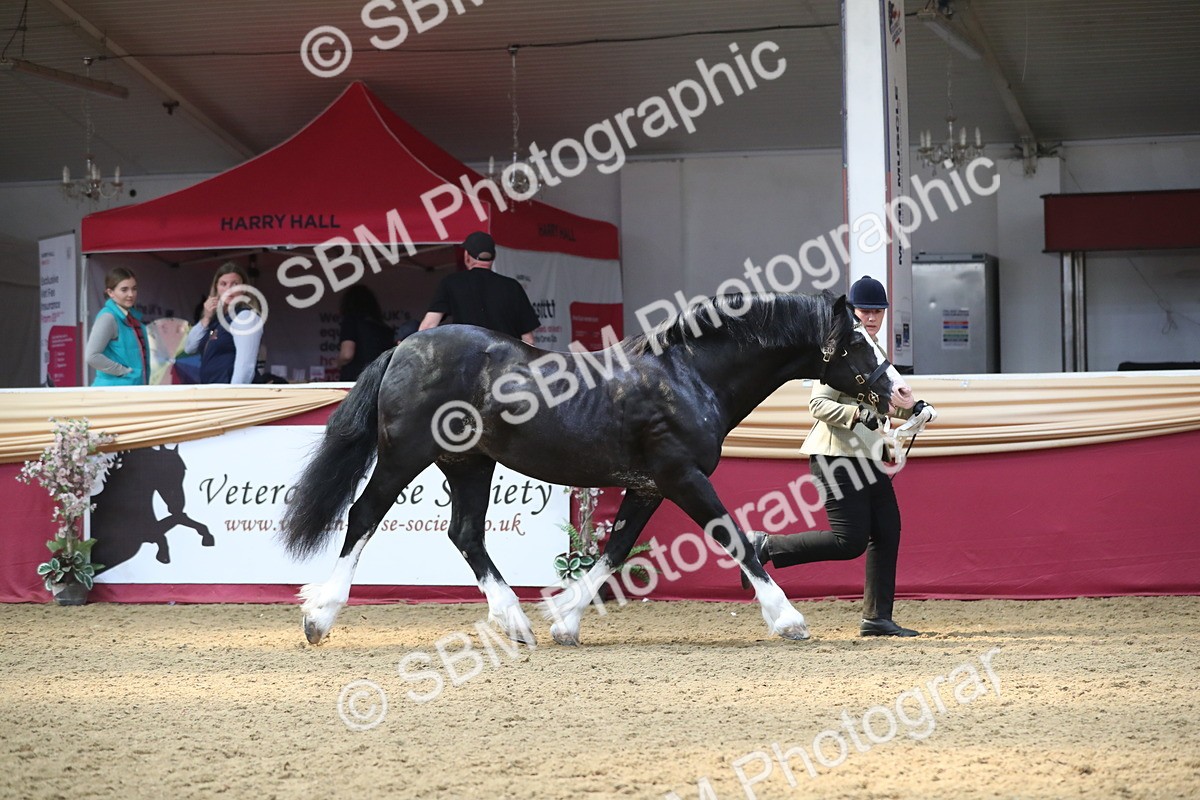 SBM_15256 - Class 501 M&M IH Supreme Final