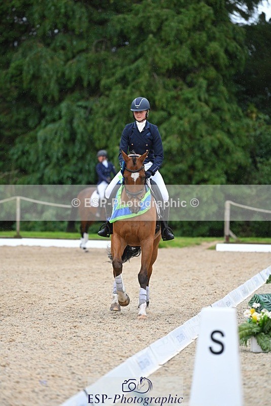 230813-163017-08333 - Medium Bronze Presentations