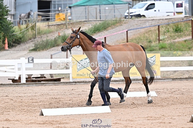 250716-133940-00612 - Trot Up 1.30 to 2.30