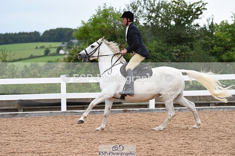 230718A-182612-00477 - 80cm