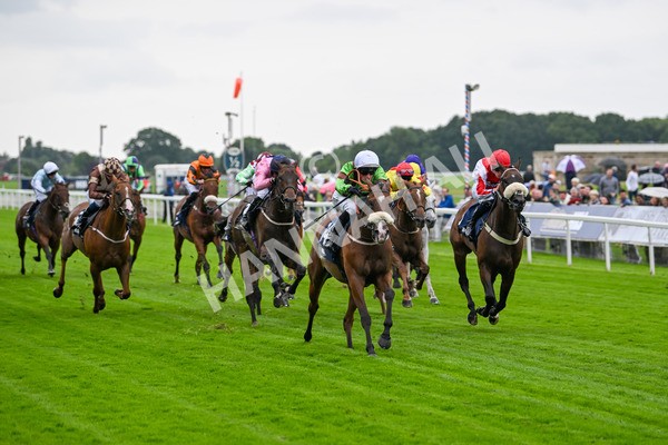 120724-Race 1-Tolstoy-5600 - Race 1 2.05pm William Hill Extra Place Races Daily Handicap