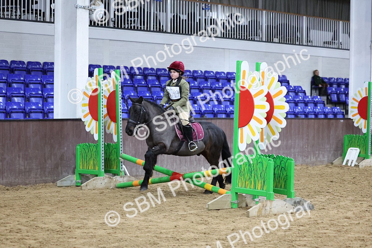 SBM_000264 - Class 2 - 50cm