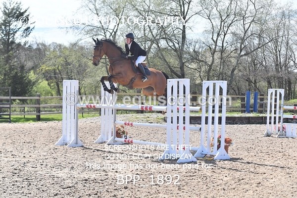BPP_1892 - CLASS 20 SUN RHS Foxhunter Championship Qualifier