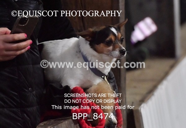 BPP_8474 - CLASS 7 Pony Newcomers/ 1m Open