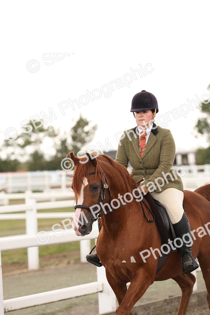 SBM_07594 - Class 59b -  Style & Performance - 80cm (20+)