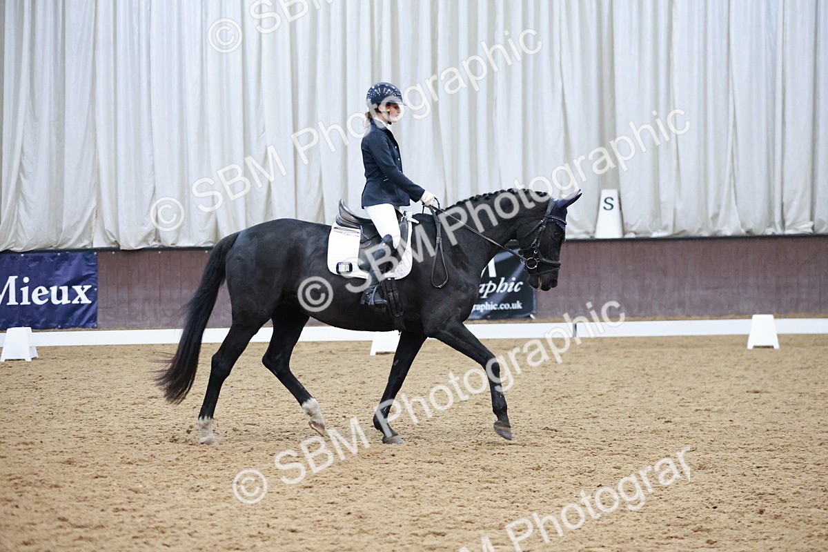 SBM_004697 - Ring 3 - International -  Working Hunter Classes 23-2-25