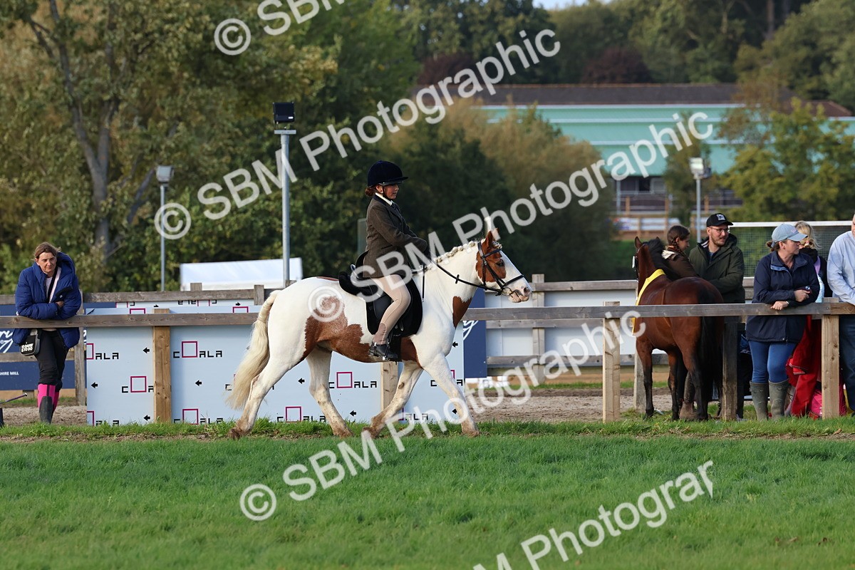 SBM_52562 - S13 - Pony Club Pony