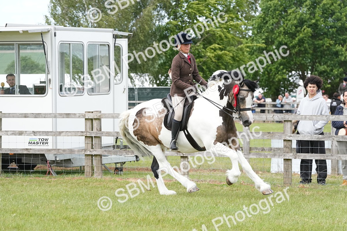SBM_17673 - Class 107-108 - LIHS BSPS Performance Coloured Horse Pony