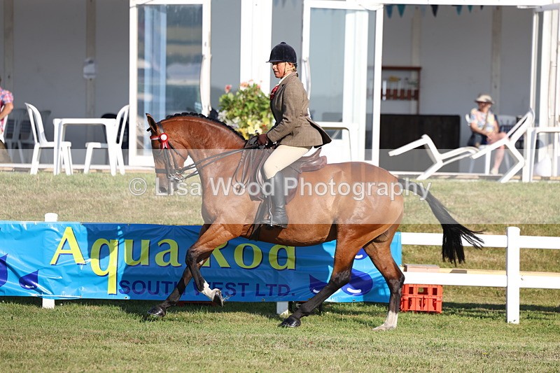 3E7A5022 - Class 1: Rising Star Small Hack/Riding Horses
