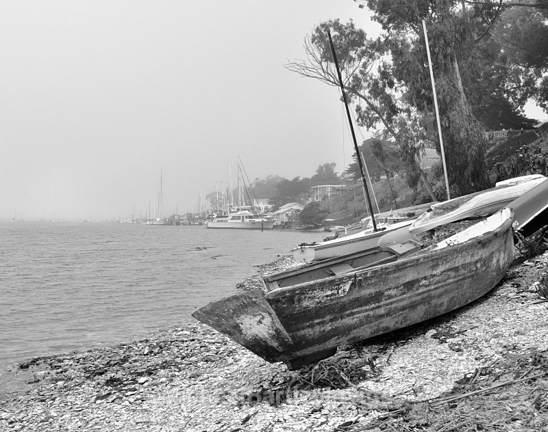 Morning Fog - Black and White