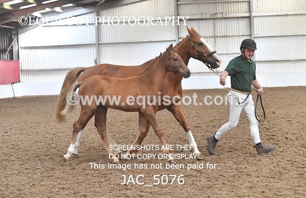 JAC_5076 - 9 Zinzipan