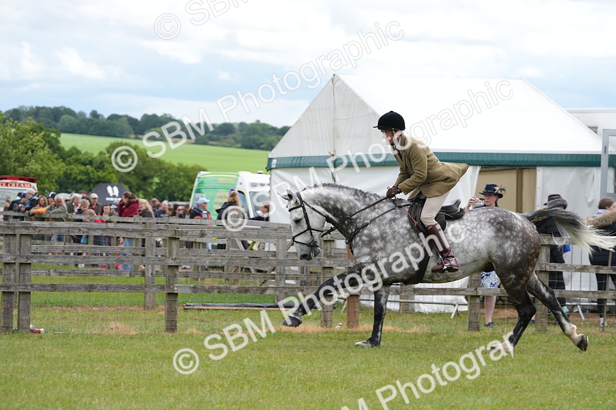 SBM_14885 - Class 100-102 - RIHS Working Hunter