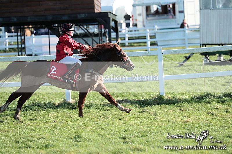 PtP 230324 1267 - Tedworth Hunt PtP Larkhill Raccourse 23rd March 2024