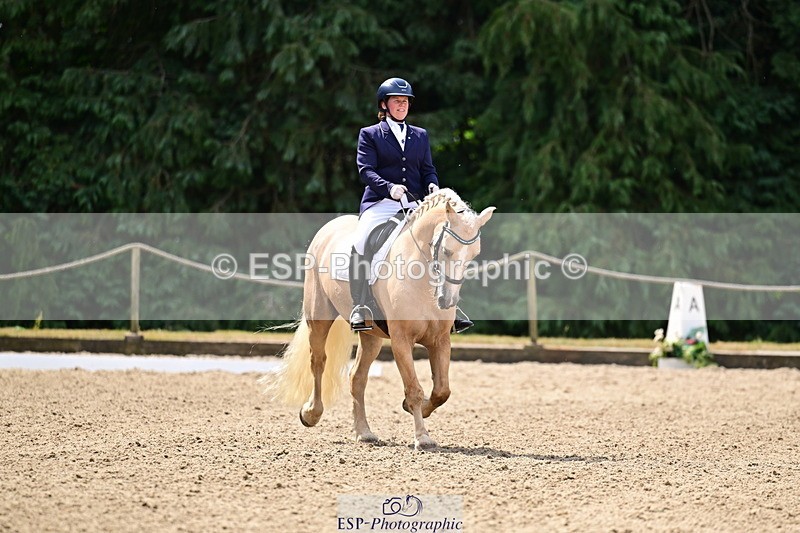 260802A-111310-05739 - Novice Silver break - break
