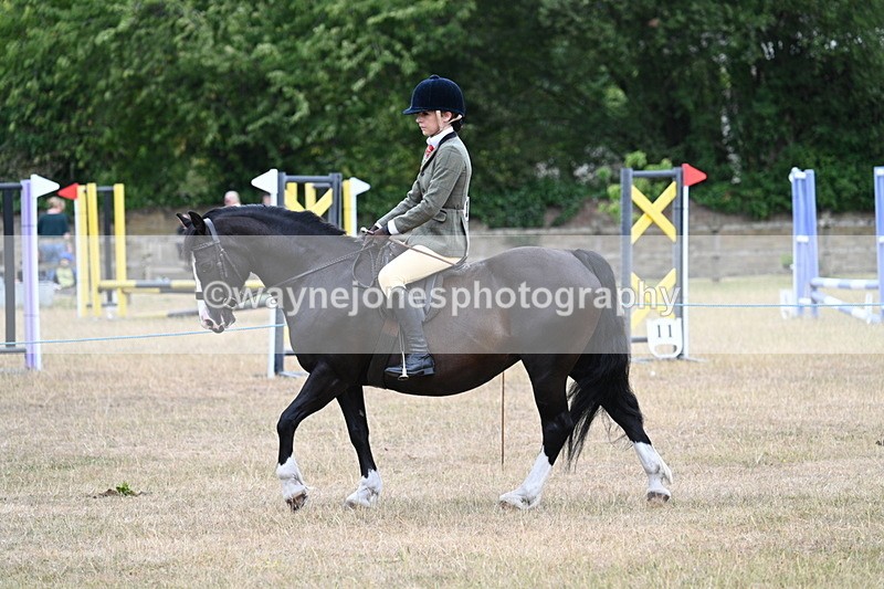 WJ7_0461 - Class 6 Ridden Mountain and Moorland
