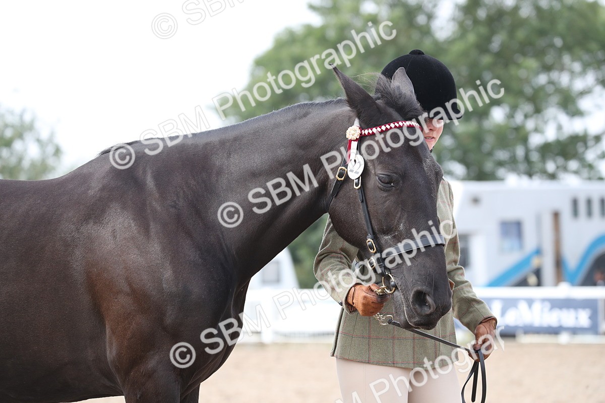SBM_23057 - Class 605 - 2025 Area - IH Veteran