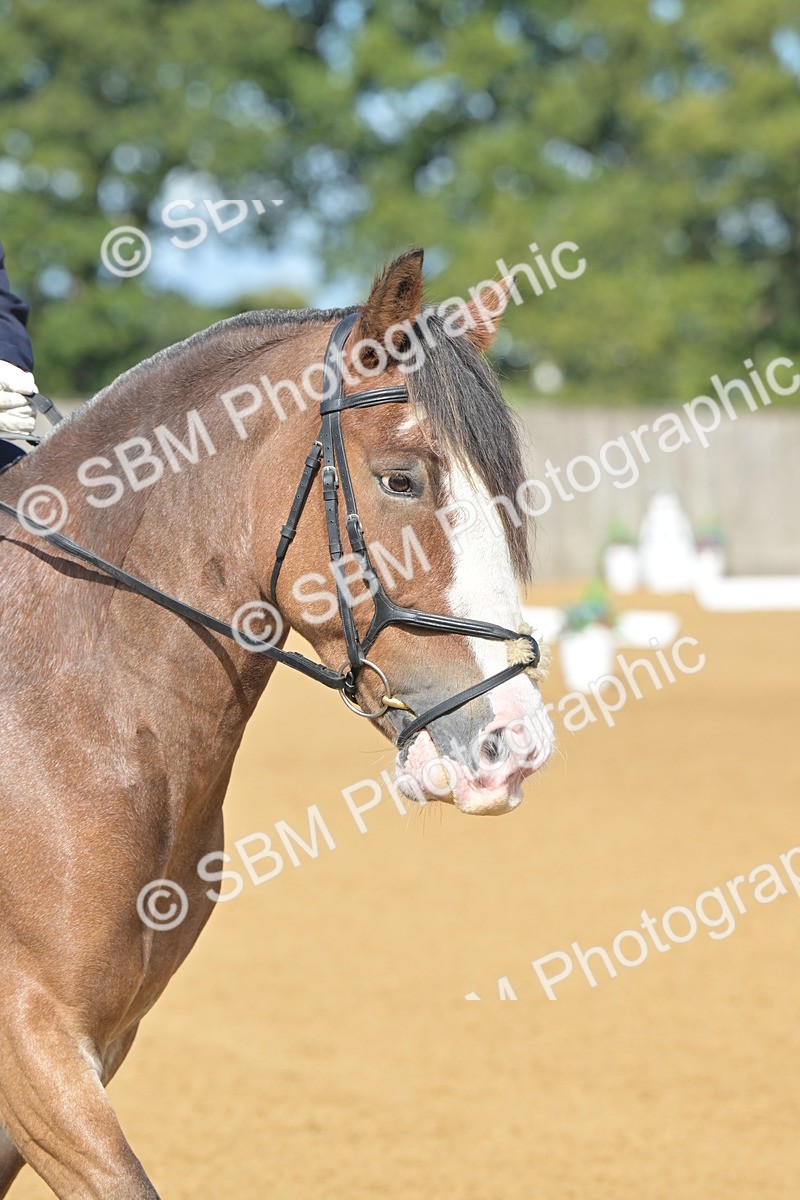 SBM_03905 - D2 - Small Tour Championship Intro 2