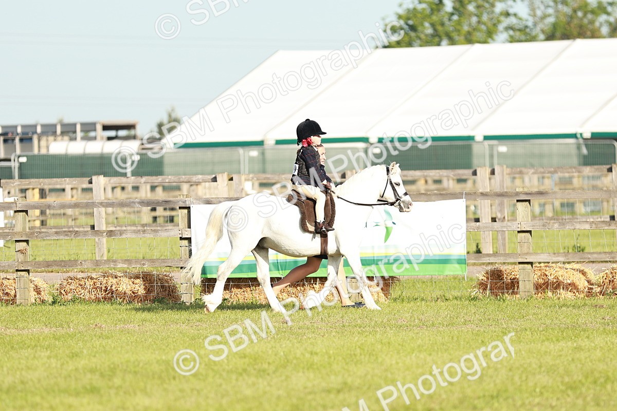 SBM_11025 - Class 106-107 - BSPS LIHS Working Sports Pony
