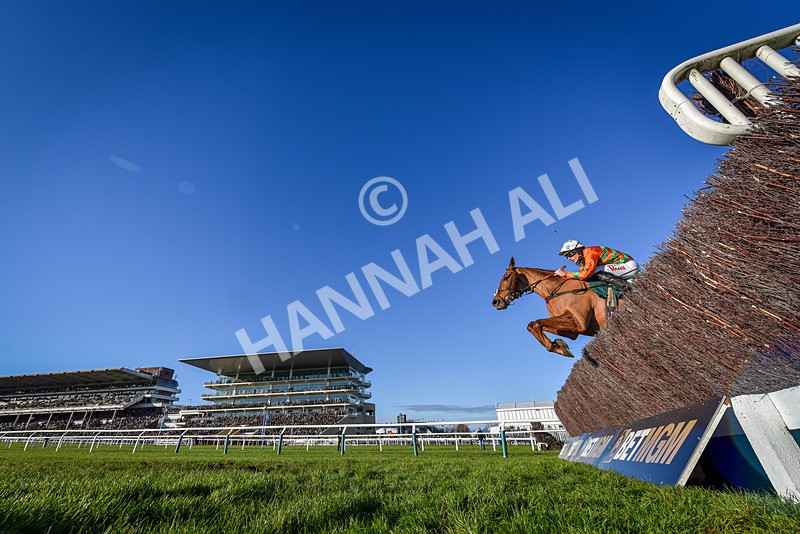 141224-Race 2-Livin On Luco-9324 - Race 2