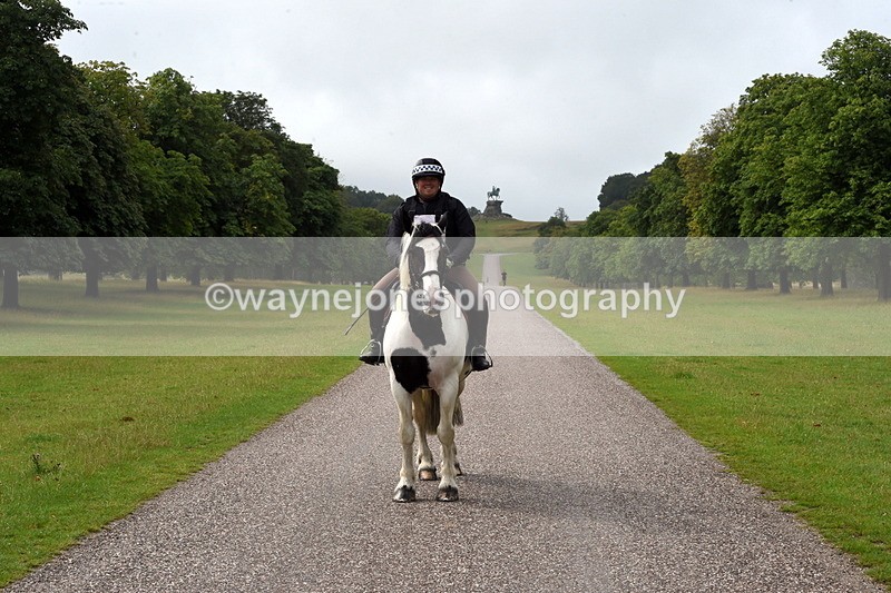 TT3_8263 - Time at Crossing 10:16 to 11:38