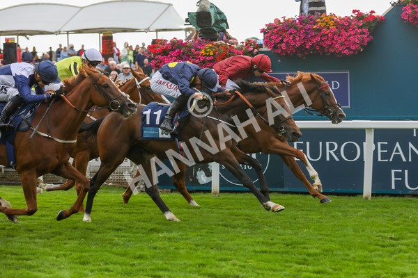 240823-Race 5-Sea Theme-5426 - Race 5 4.10pm British EBF & Sir Henry Cecil Galtres Stakes