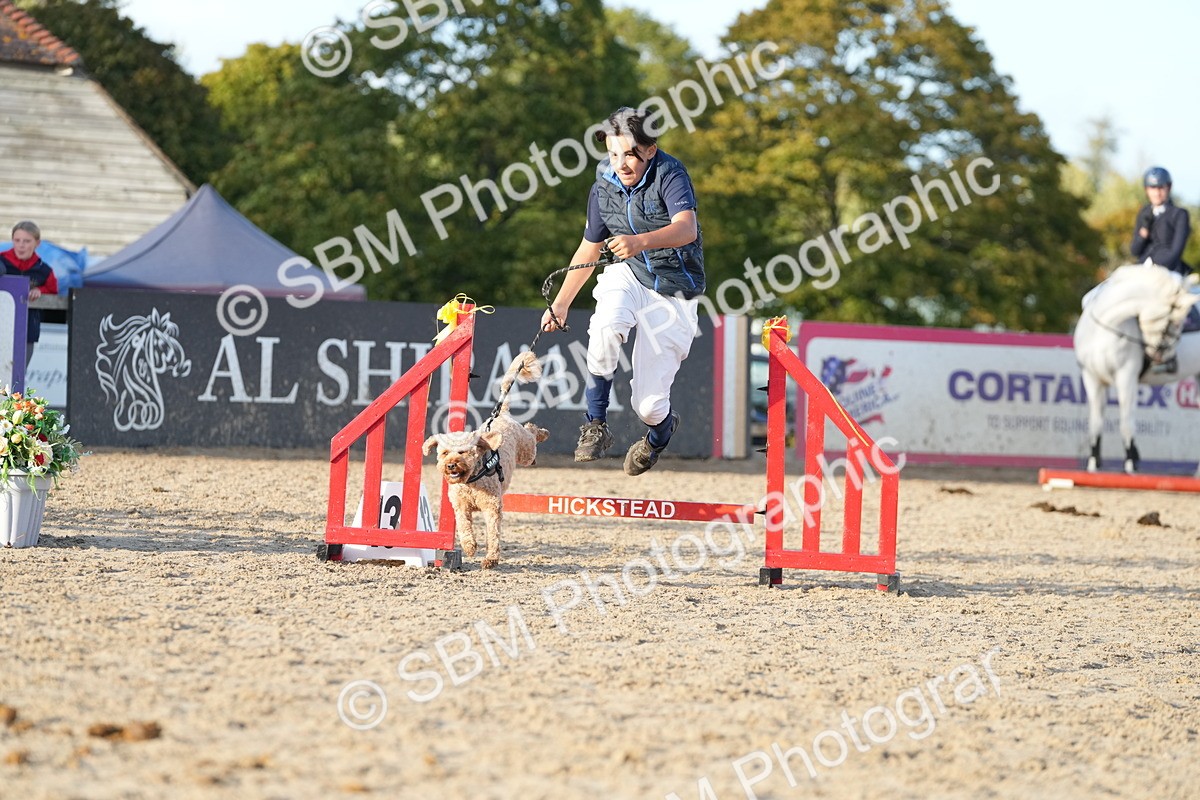 SBM_29444 - J44 - Horse & Hound Open 70cm