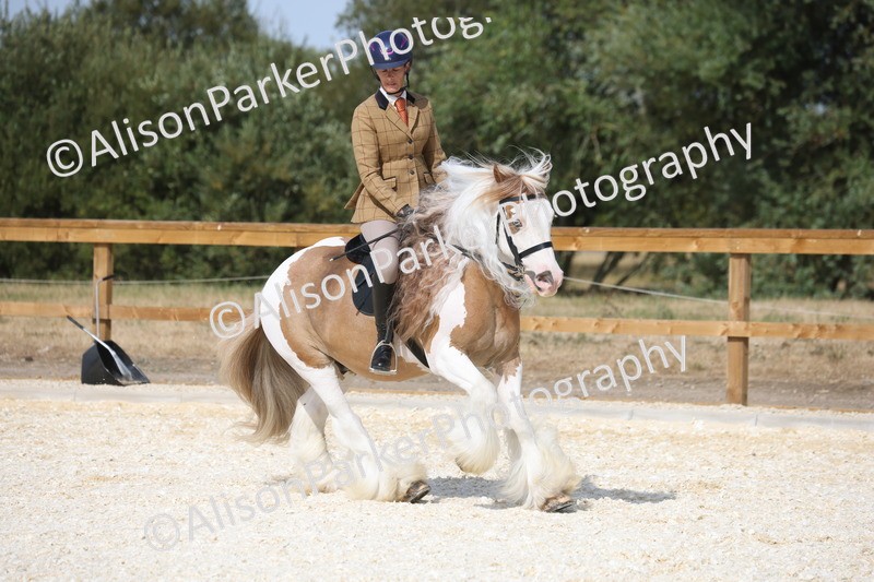 20260802-0509 - Class 6 - Veteran Ridden