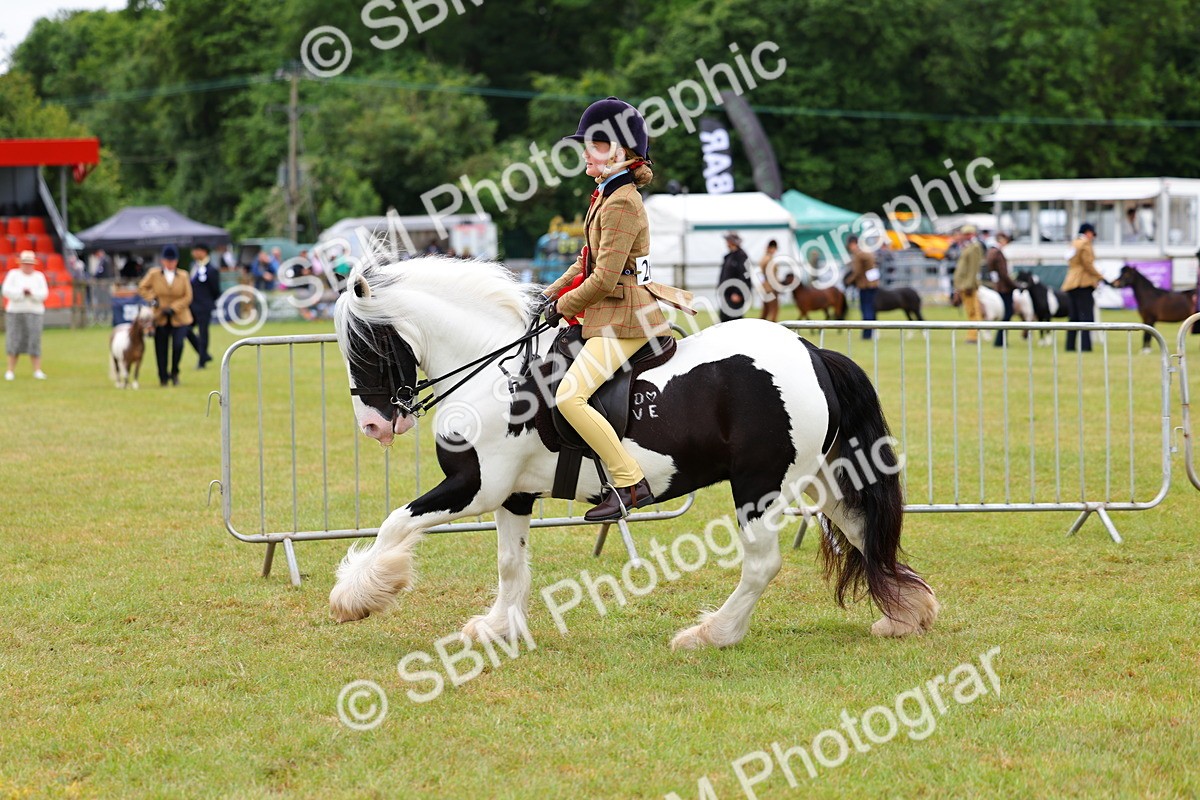 SBM_02637 - Class 9-11 Side Saddle including LIHS Rising Star Ladies Show Horse