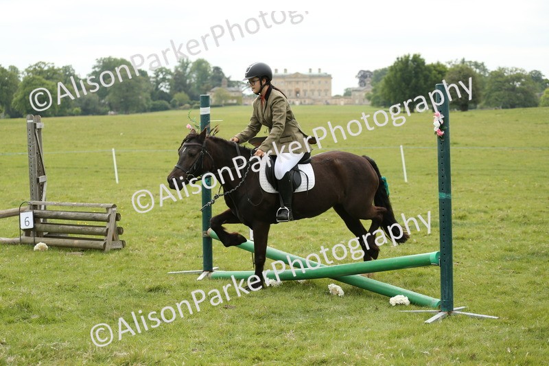 20250517-0583 - Class 20 - Beginners Working Hunter