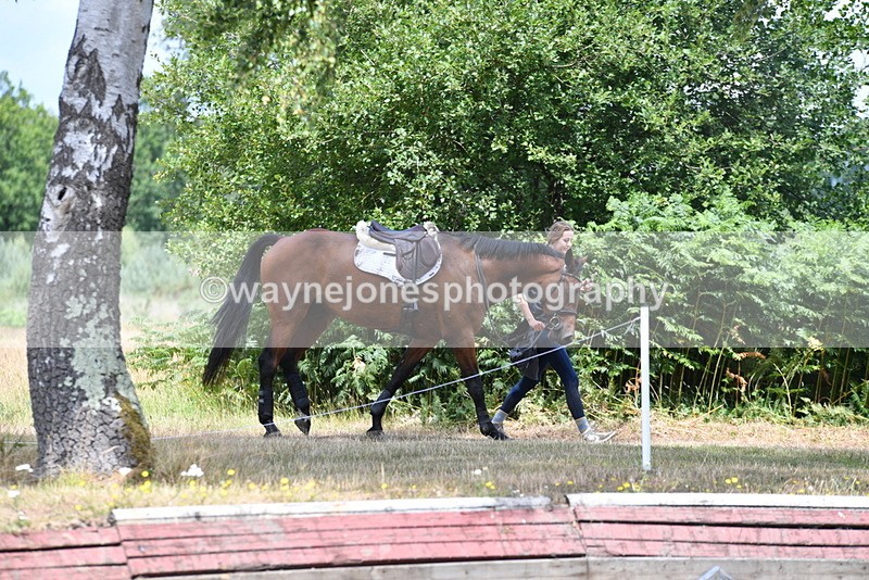 WJ5_0036 - Time 12:30 to 13:00