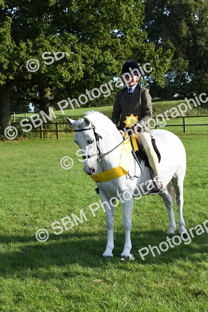 SBM_52437 - S22 - 1st Ridden Show & Show Hunter Pony