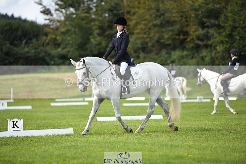 230826-104358-15584 - Sections C & D 10 to End