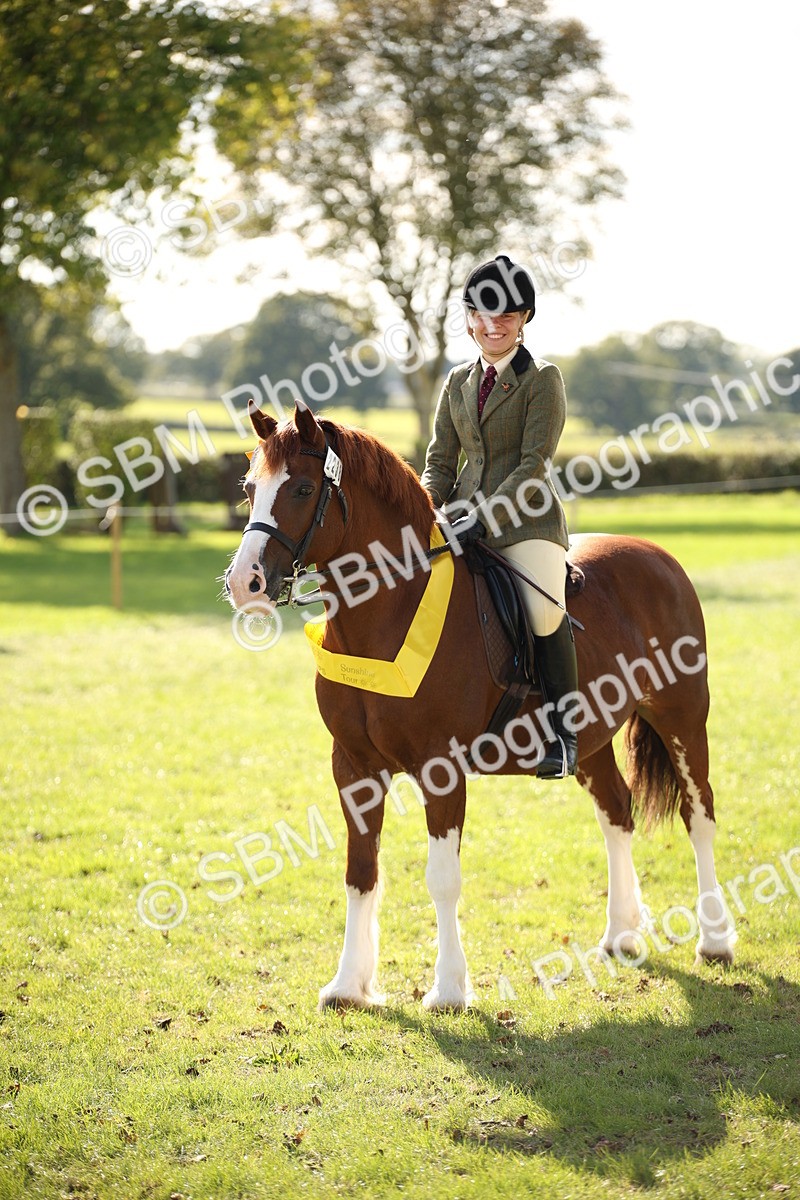 SBM_50097 - S26 - Young Veteran - Ridden