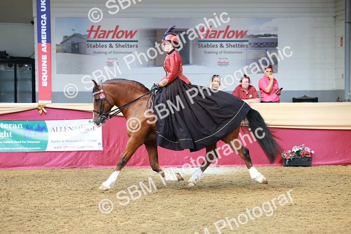 SBM_14807 - Class 107 - Ridden Costume - Astride Adult  (20+)