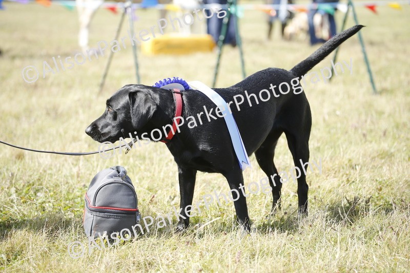 20250831-3741 - Dog Show