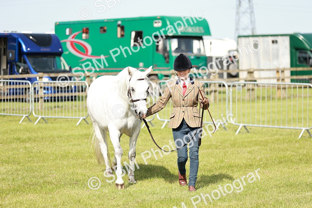 SBM_01628 - Class 14-23 - Mountain & Moorland In Hand Non Welsh