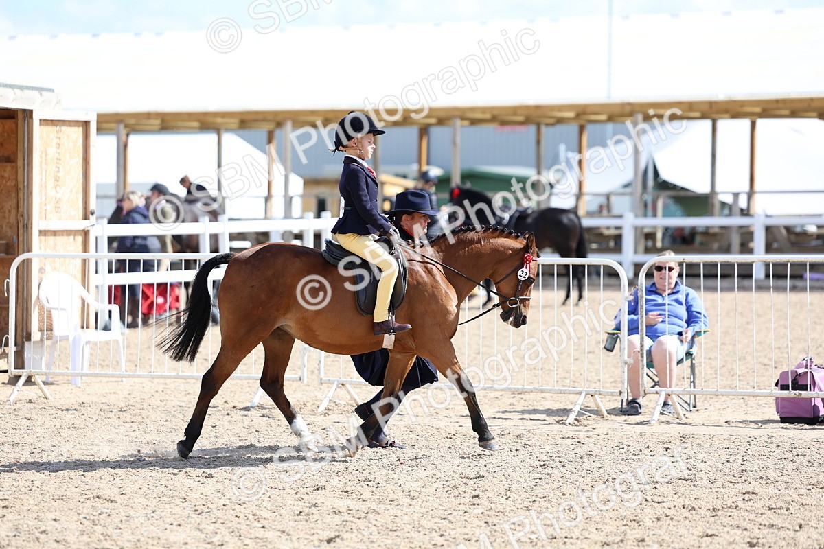 SBM_13032 - Class 309 - Lead Rein Pony
