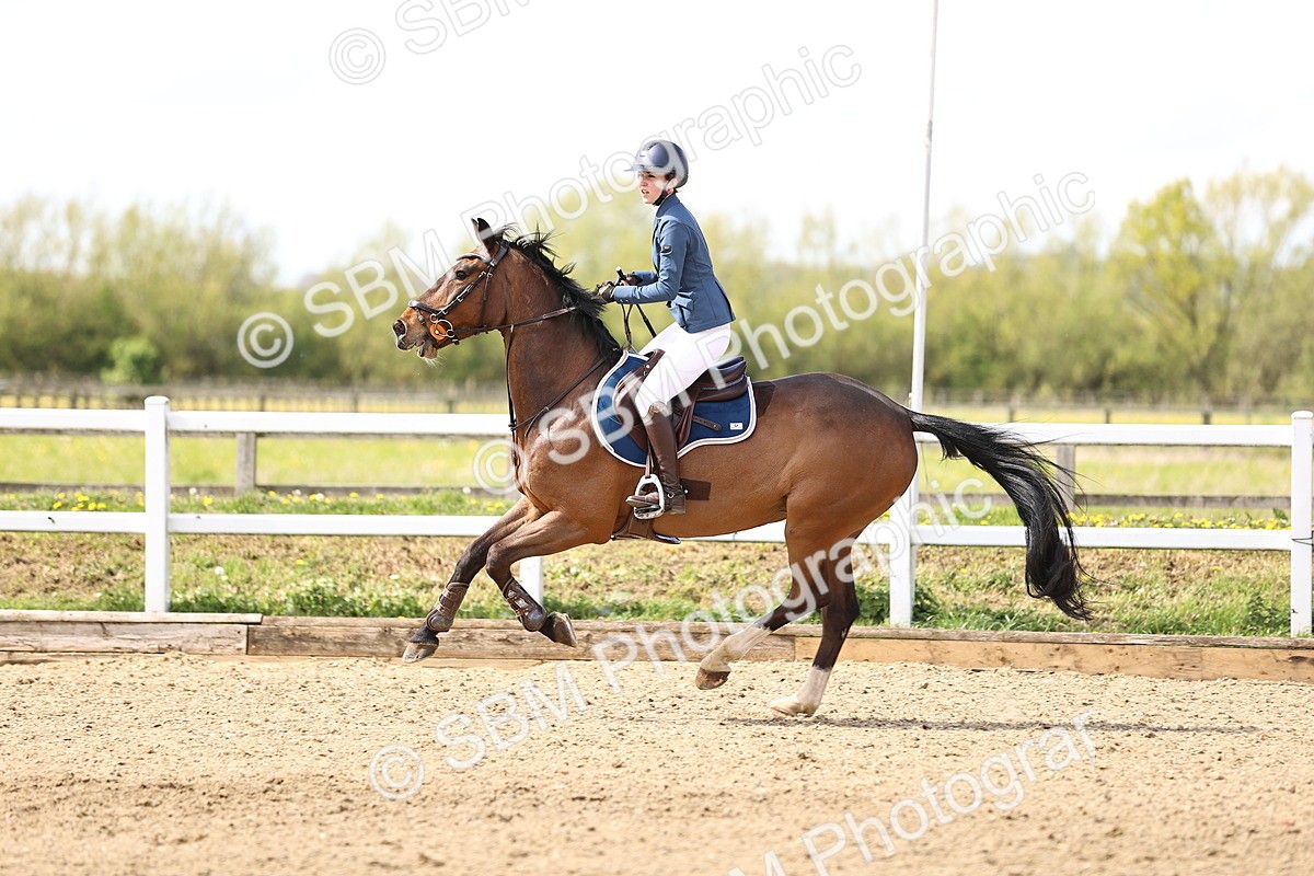 SBM_004252 - Class 17 - Senior Newcomers - 1.10m