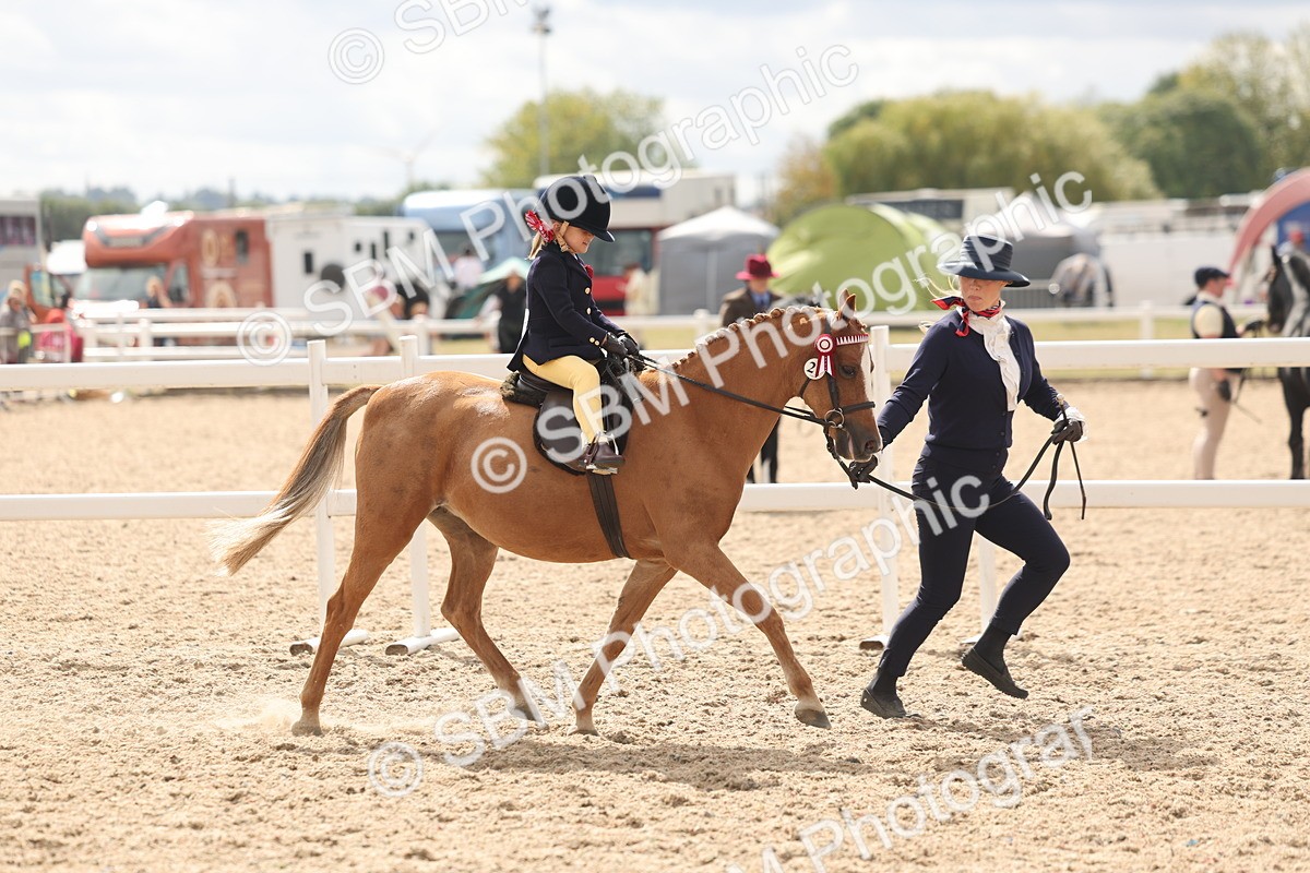 SBM_15778 - Class 309 - Lead Rein Pony