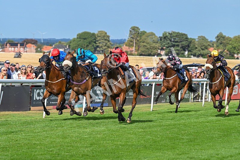 140825-Race 6-Sunny Orange-1810 - Race 6