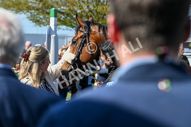 100426-Race 1-Where Love Lives-2820 - Race 1