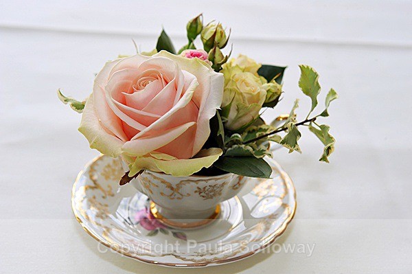  - Wedding Portfolio
