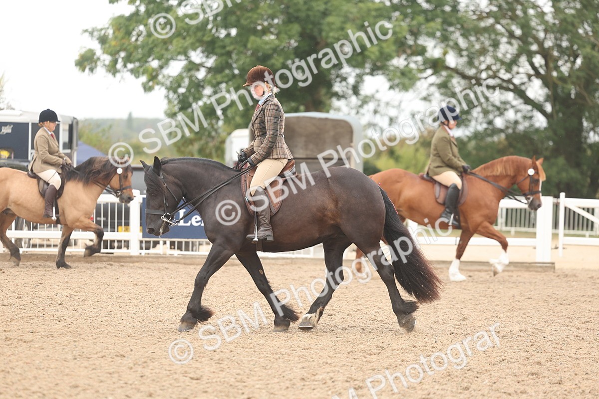 SBM_01912 - Class 14 - Ridden M&M Wildcard