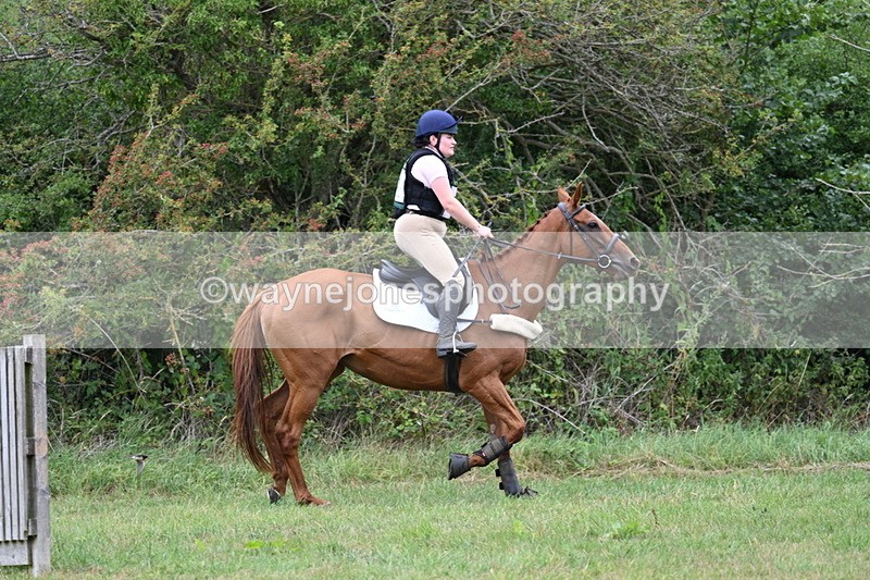 WJ7_4924 - All of 80cm