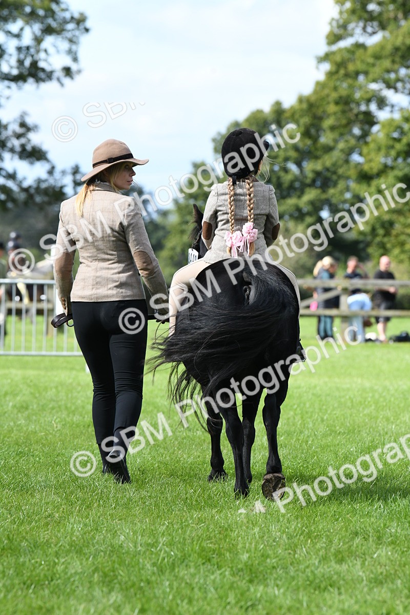 SBM_42596 - S20 - Lead Rein Mountain & Moorland Pony