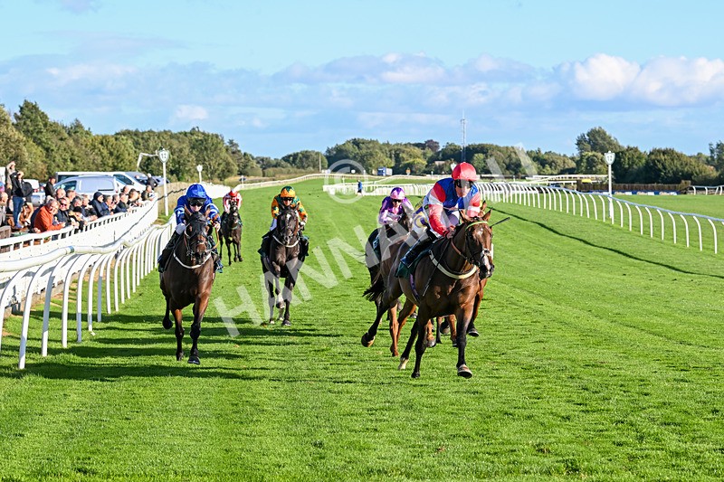 100924-Race 7-Desert Dream-0703 - Race 7